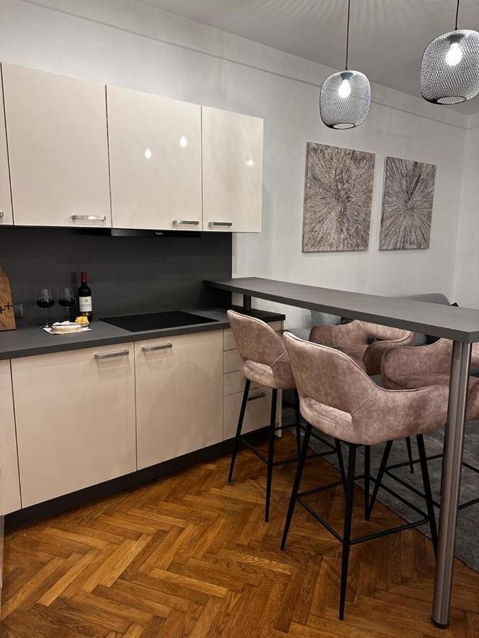 Riverside Apartment Karlovy Vary Extérieur photo